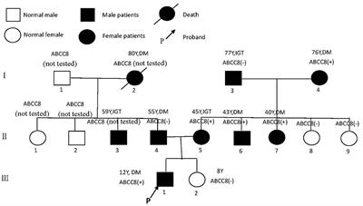 ABCC8-Related Maturity-Onset Diabetes of the Young (MODY12): A Report of a Chinese Family